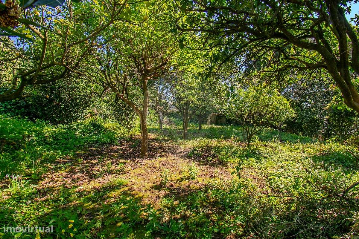 Moradia T4 para venda-21