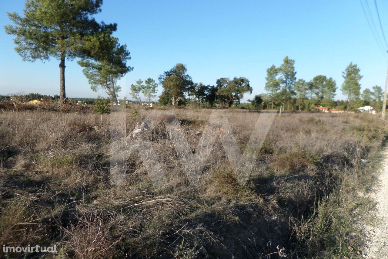 Terreno na Vila de Marinhais  para construção de treze moradias na zon