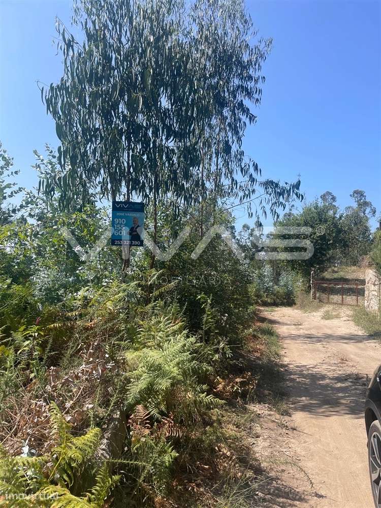 Terreno Rústico  Venda em Nine,Vila Nova de Famalicão - Grande imagem: 1/3