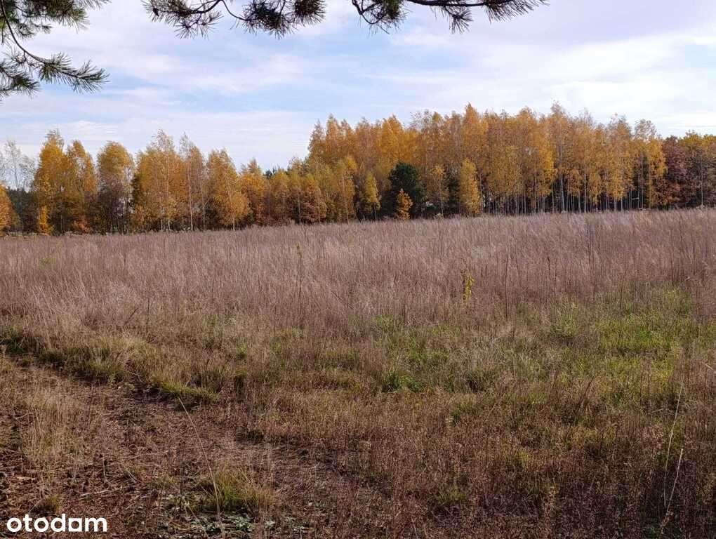 Działka budowlana w Dąbrówce Wyłazy, przy lesie-7
