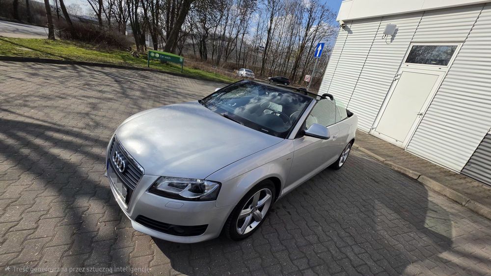 Audi A3 8P 2.0 TDI DPF S Line Sportpaket 2009