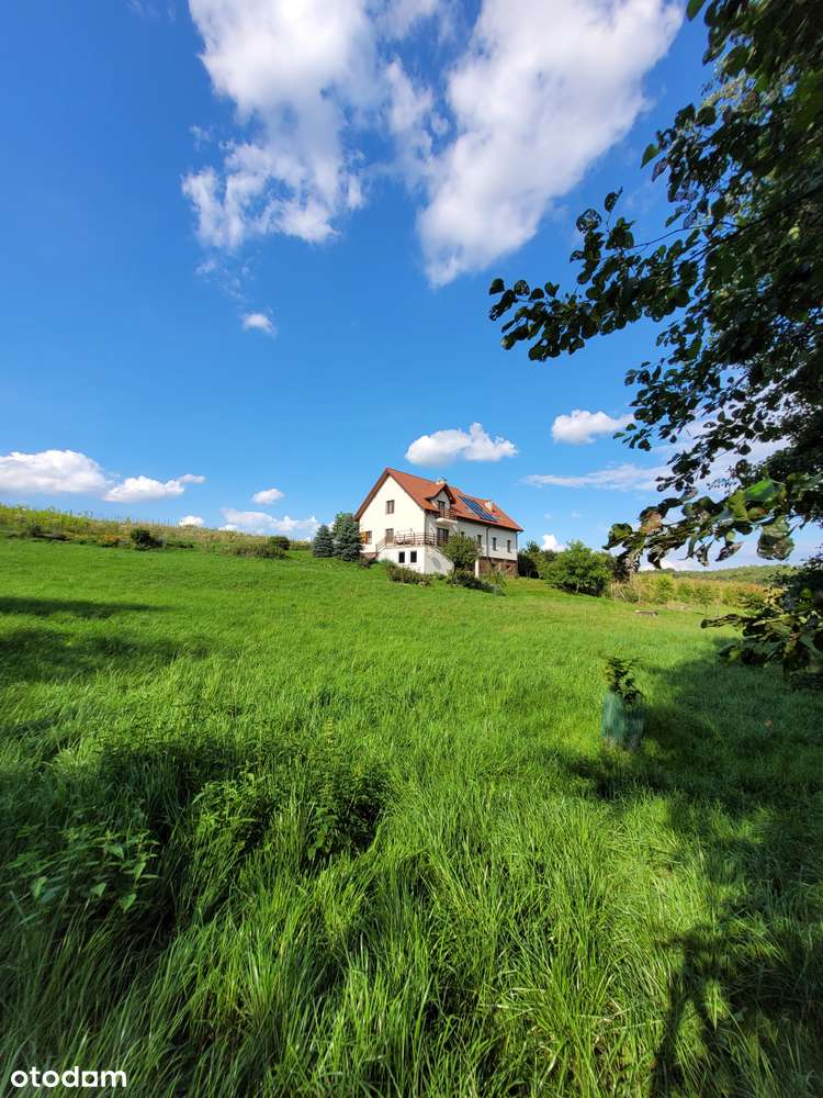 Piękny dom z winnicą - Pełny obrazek: 3/12