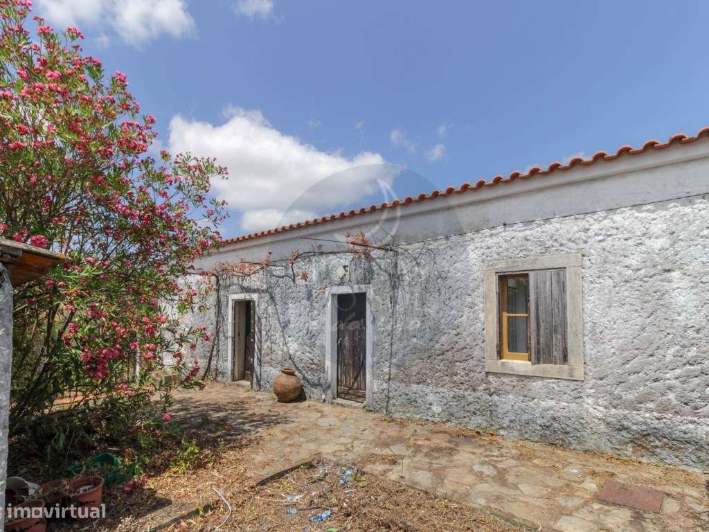 Moradia V2 Terreno Poço - Grande imagem: 5/32