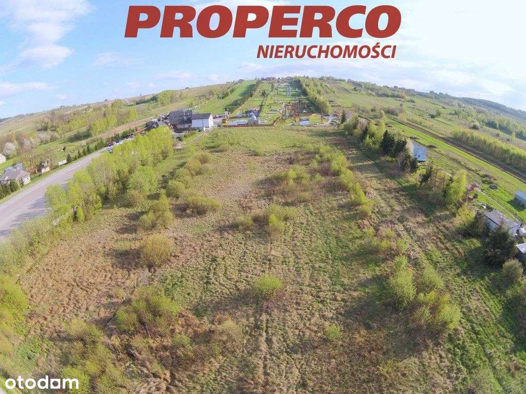 Działka 3706m2, Krajno Pierwsze, gm. Górno - Pełny obrazek: 5/5