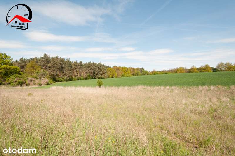 Działki 200m od plaży. 300m2. Z własną Księgą. - Pełny obrazek: 4/10