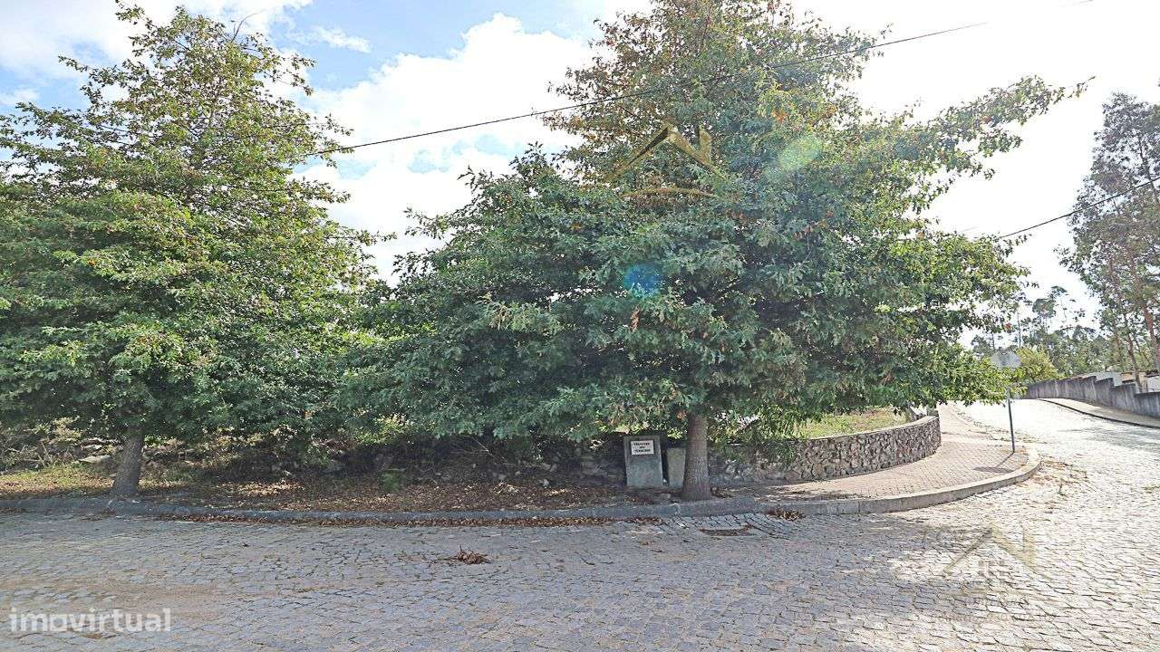 Terreno 20.000m/2 Macieira da Maia-4