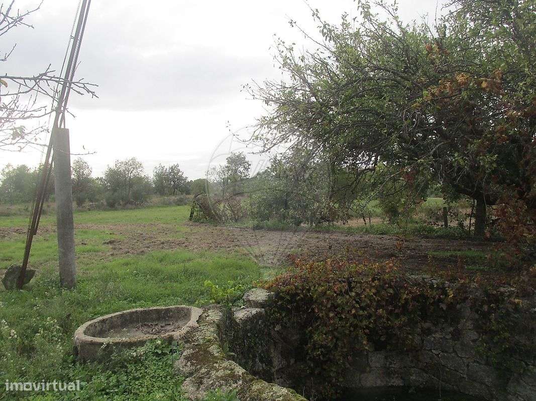 Quinta  para venda - Grande imagem: 2/12