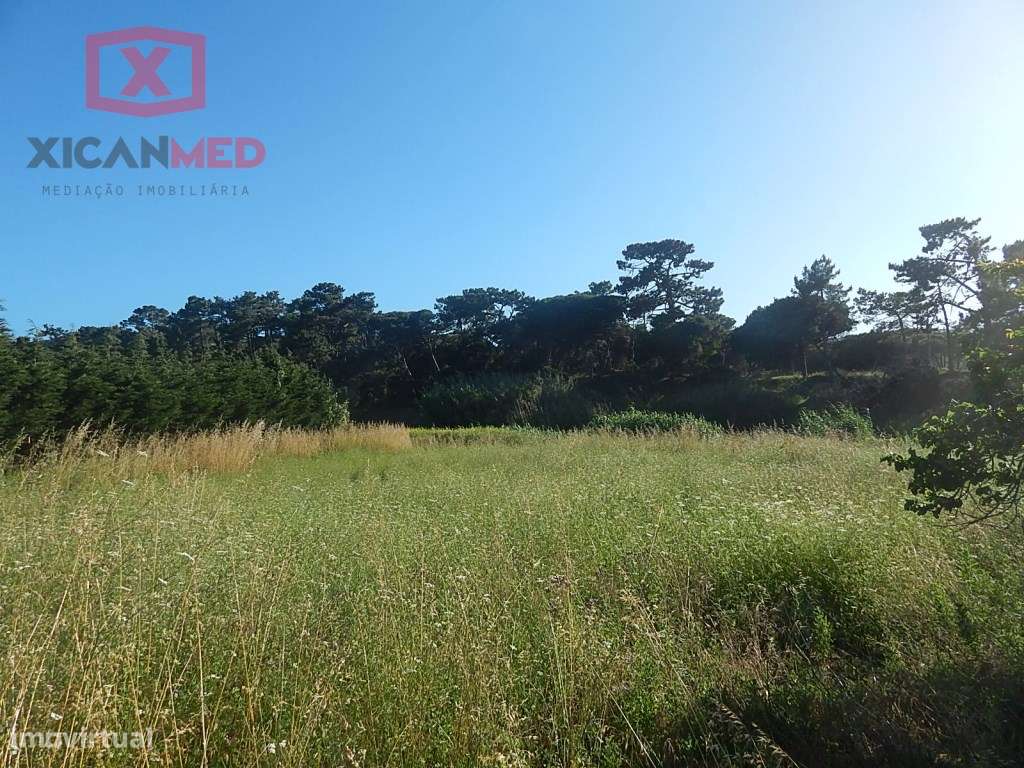 Colares, Terreno Agro florestal - Grande imagem: 4/7