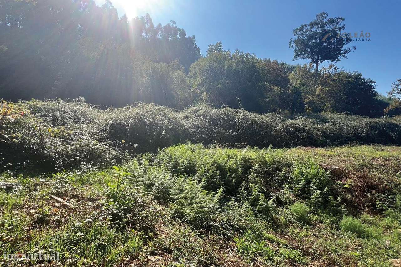 Terreno Agrícola 10.400 m² – Rebordosa, Paredes-7