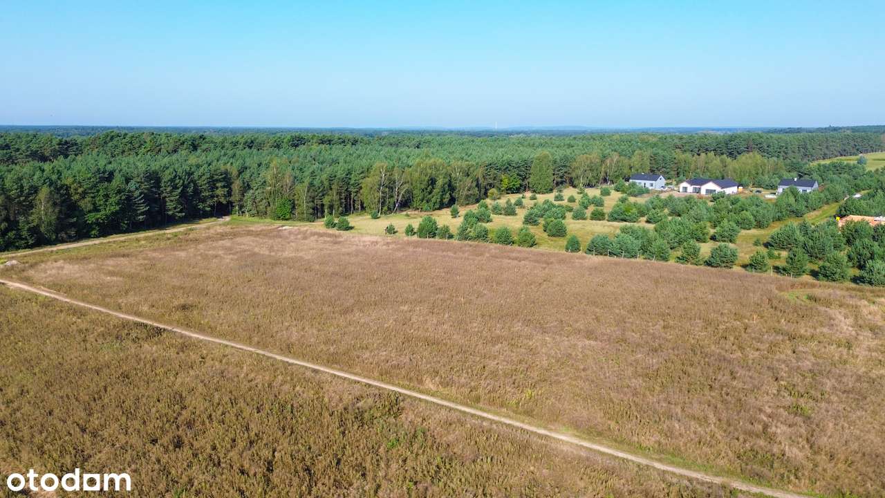 Działka  blisko lasu - atrakcyjna cena! od 905 do 2731m2-4