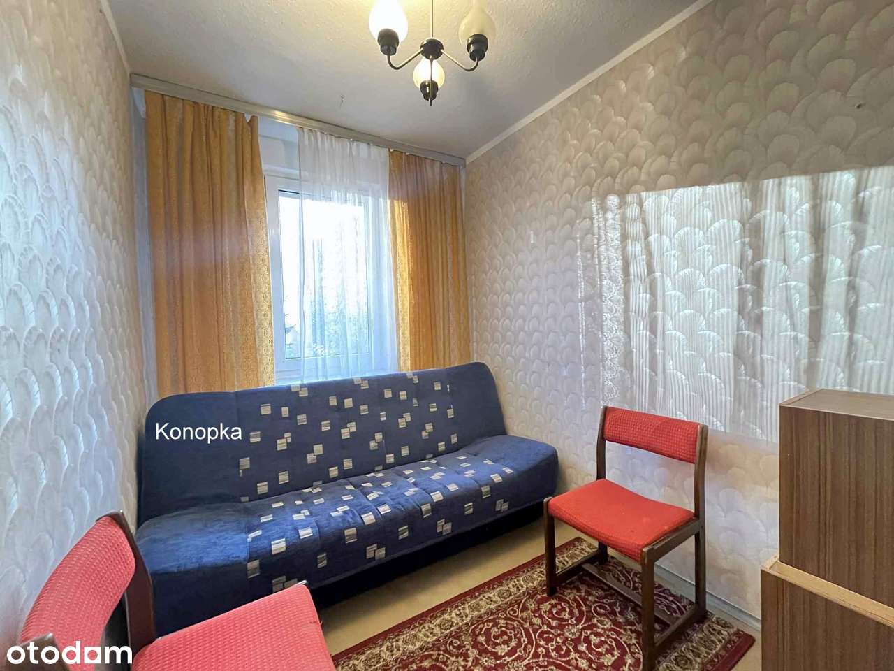 Do własnej aranżacji wolne od zaraz-3