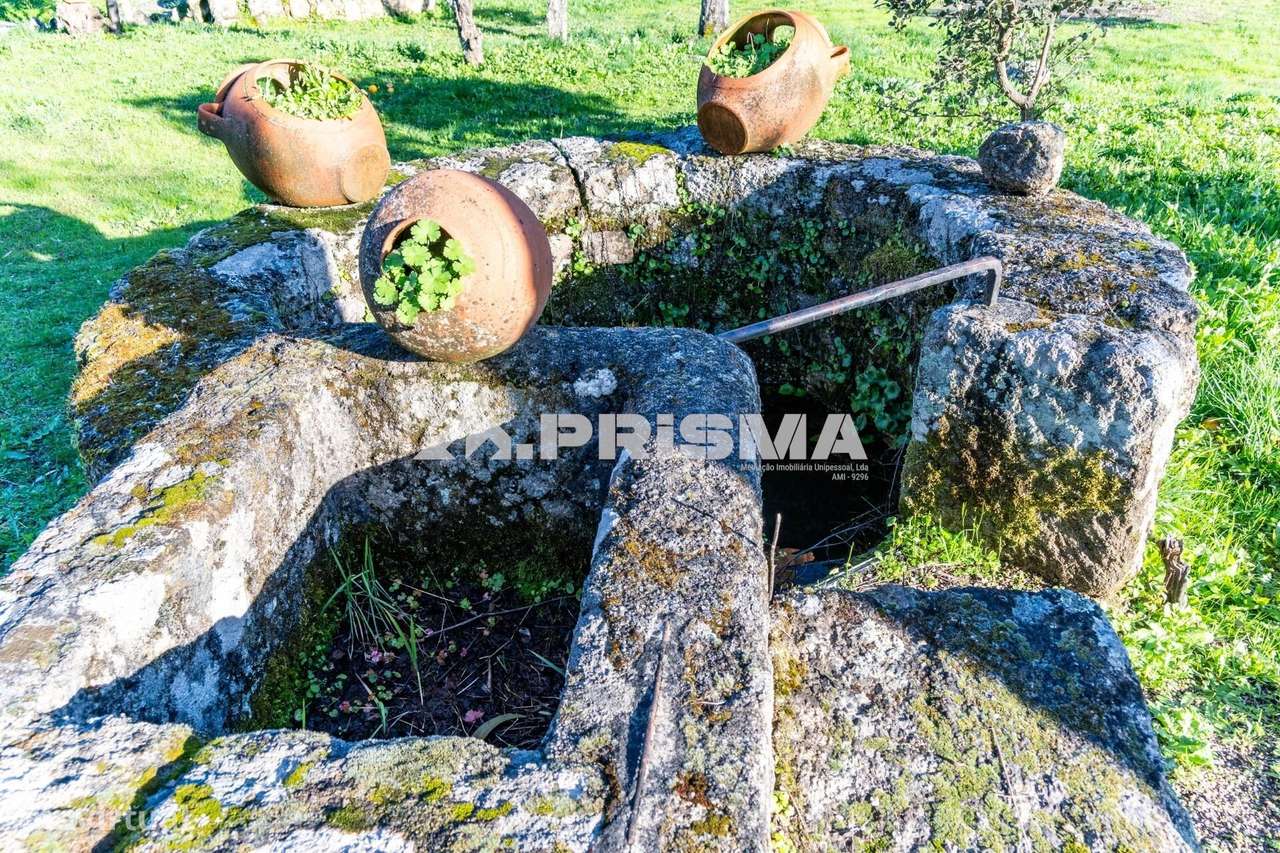 Quinta para venda em Escalos de Cima-33
