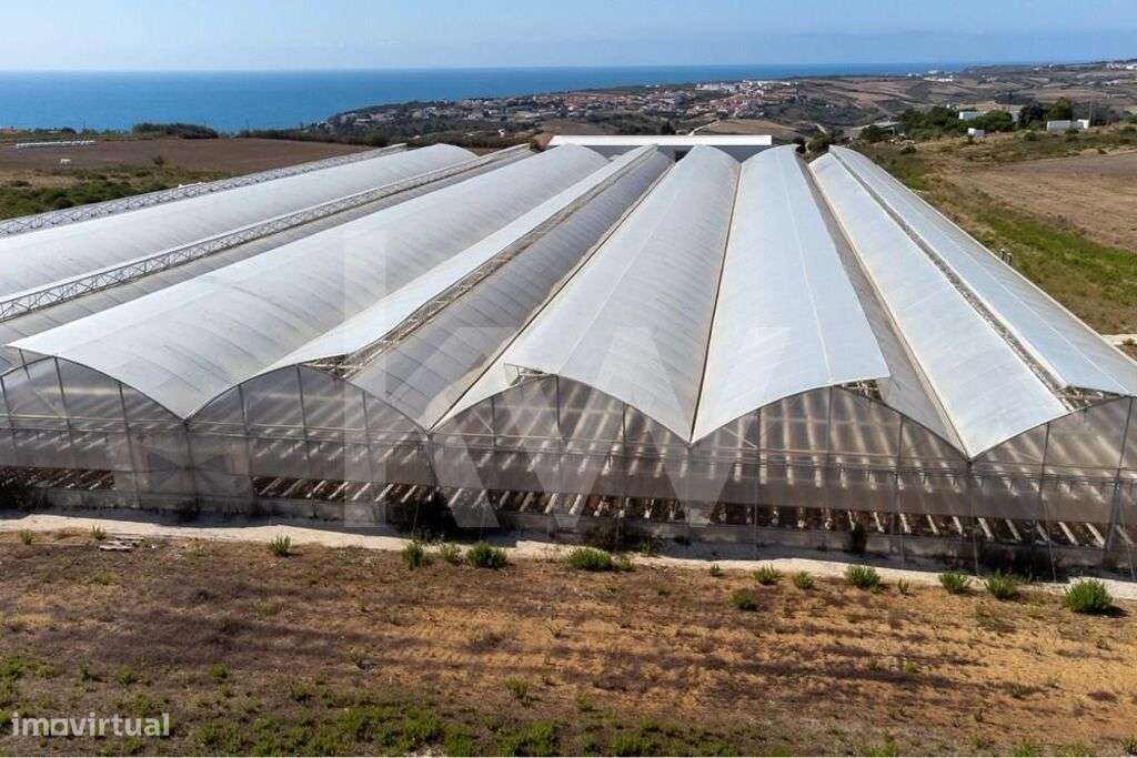 Terreno com 4 hectares com Fabulosa Vista de Mar - PIP Aprovado - Proj - Grande imagem: 5/40