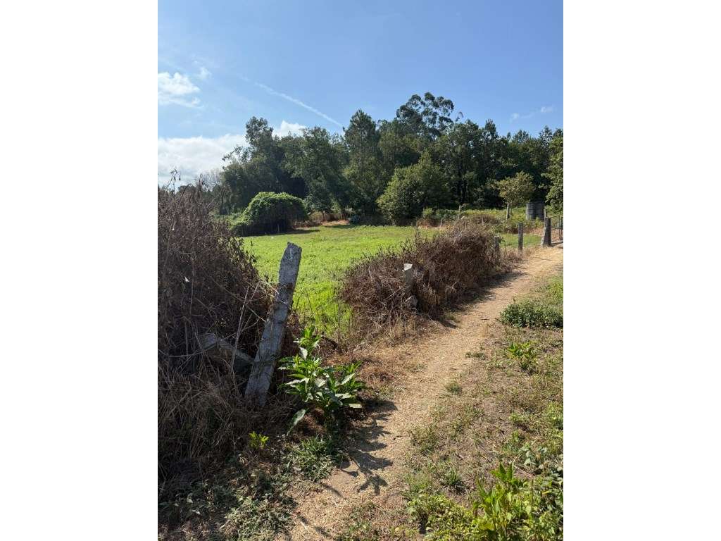 Terreno para construção em Lemenhe.-11