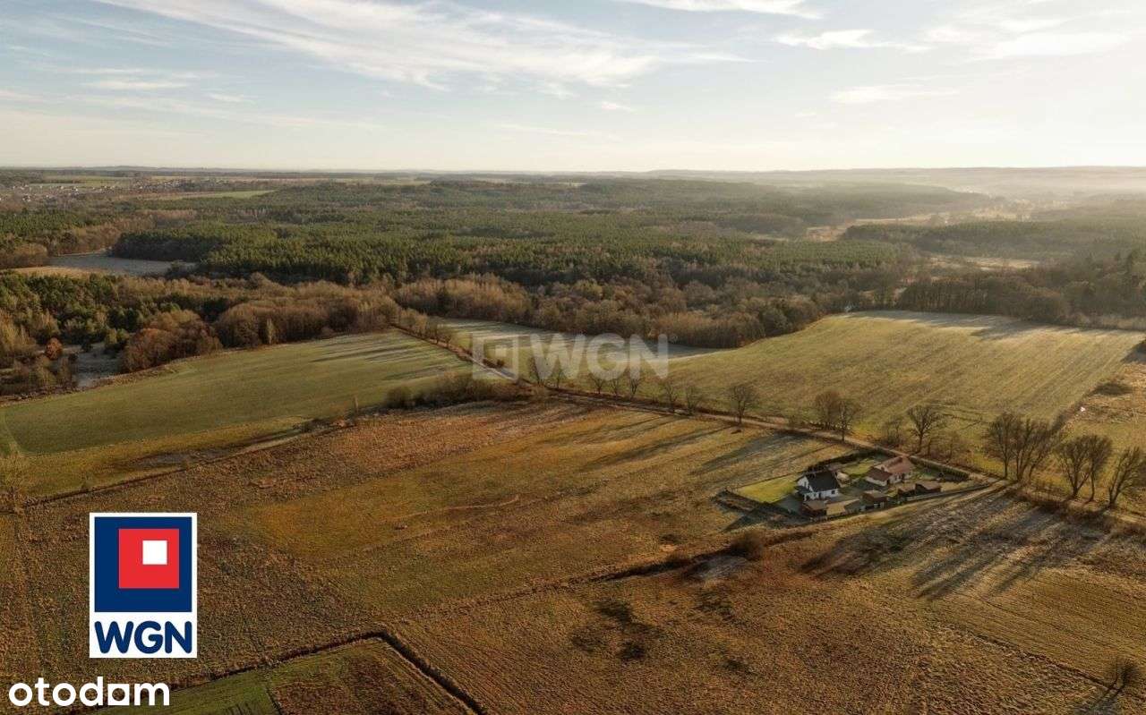 Działka budowlana, 5400m2, Łosino-12