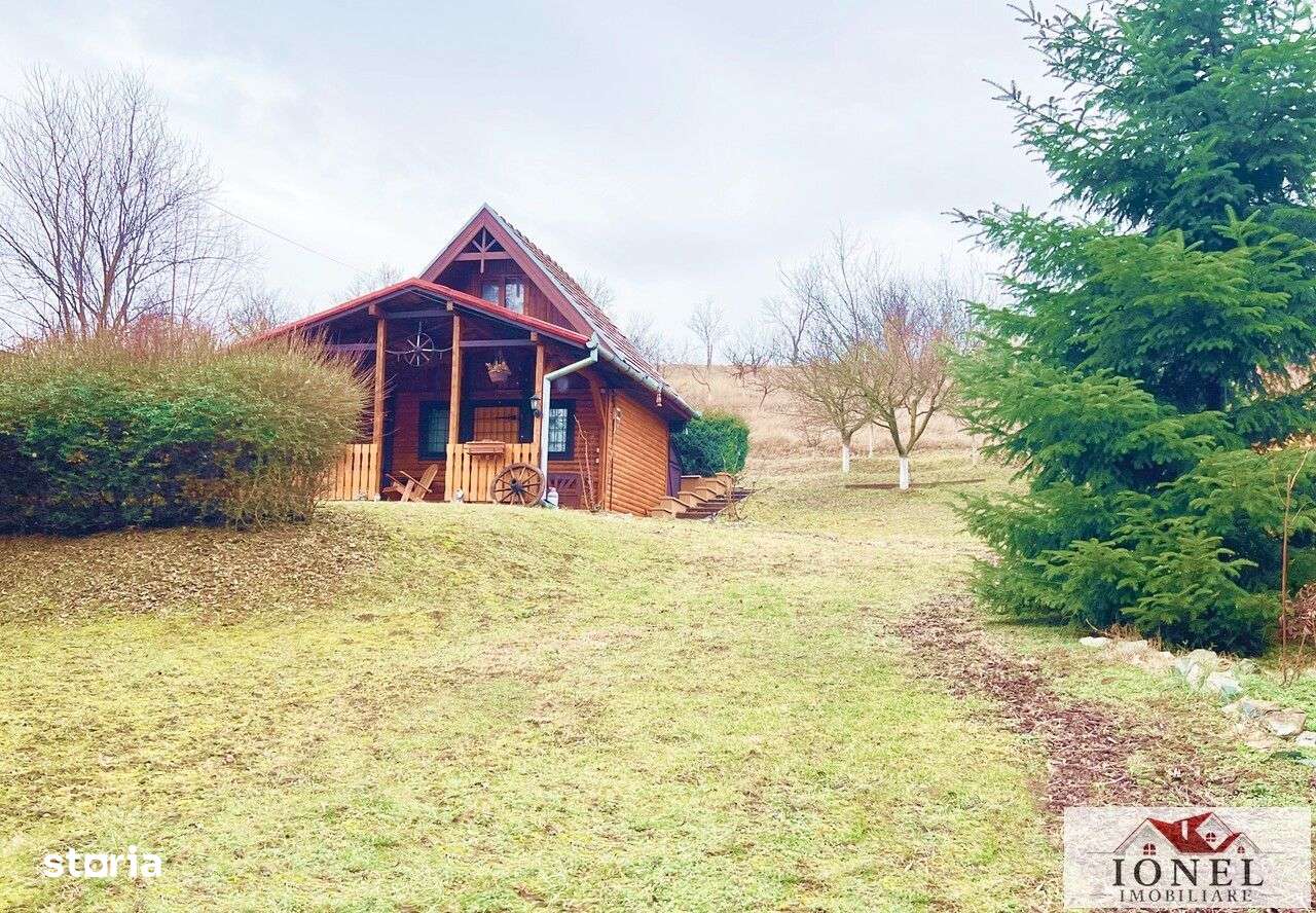 Casa in Ciugud - Seusa - Imagine principală: 2/14