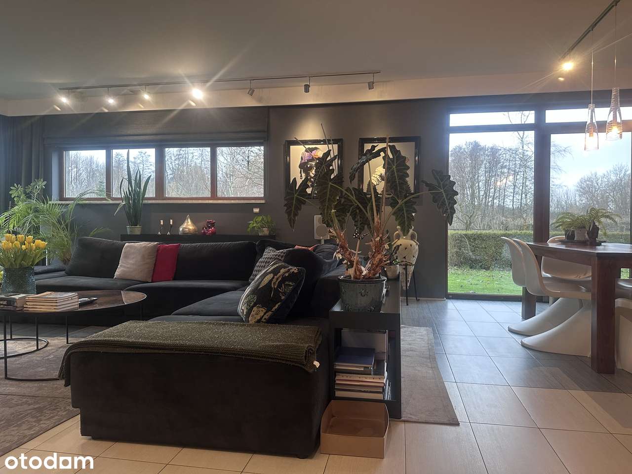 Parterowy dom, 4 sypialnie z dużą działką- Łódź - Pełny obrazek: 5/20