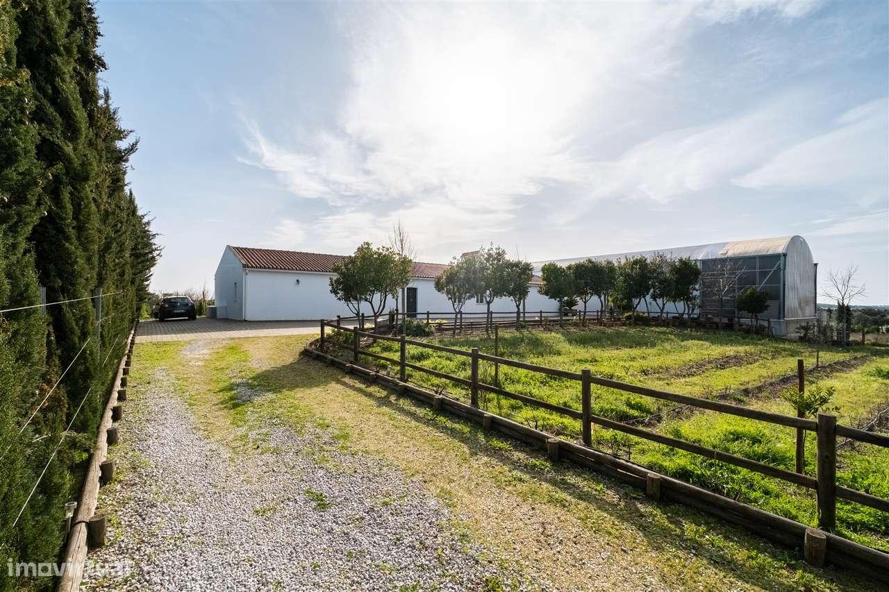 Quinta Biológica - Monte de Palma em Sao Manços com negócio.-46