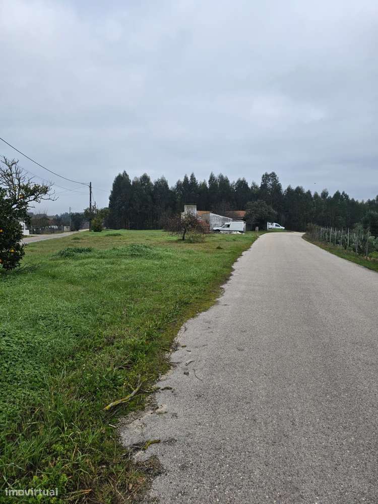 Quintinha 1350m2 - Almeirim - Fazendas de Almeirim-9