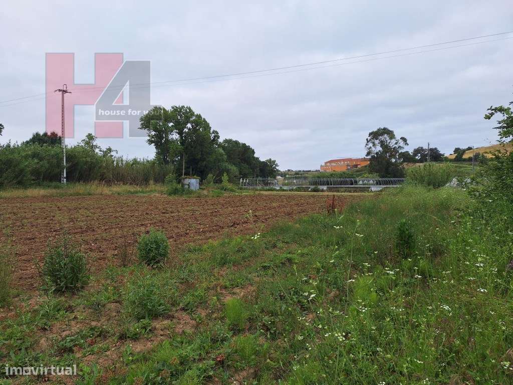 Terreno Rústico Plano com 15.560 m², 3 Poços e Eletricidade - Sapat...-9