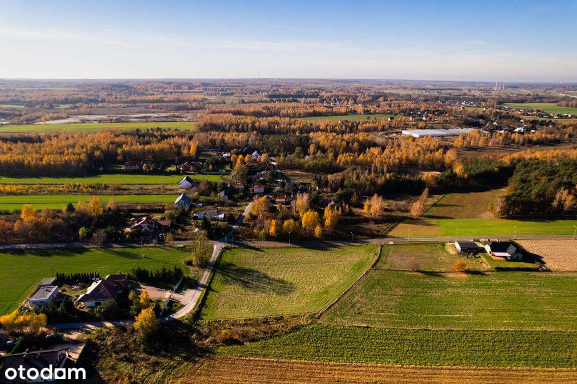 Działka 9 min od Zgierza w super cenie! - Pełny obrazek: 4/11