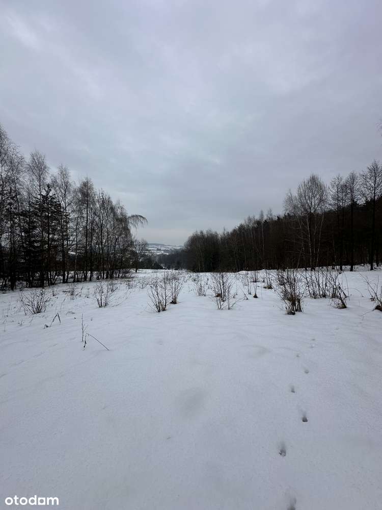 Duża działka pod lasem - Łazany blisko Wieliczki i Gdowa-13