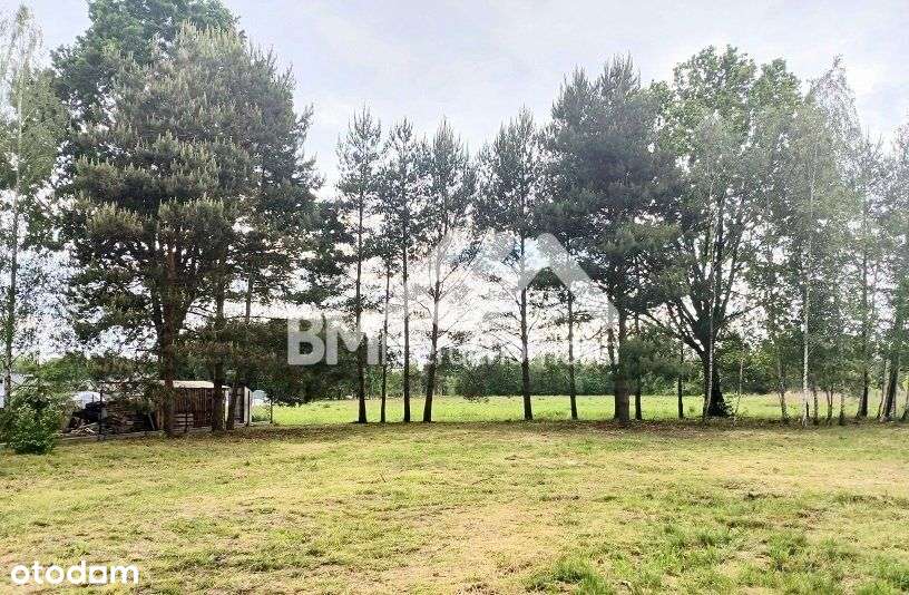 Adamowizna, budowlana - Pełny obrazek: 4/5