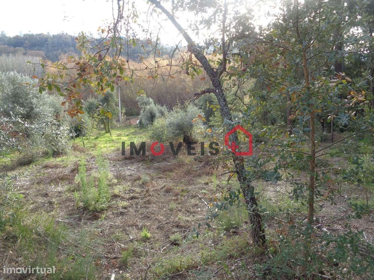 Terreno para Construção - Grande imagem: 3/5