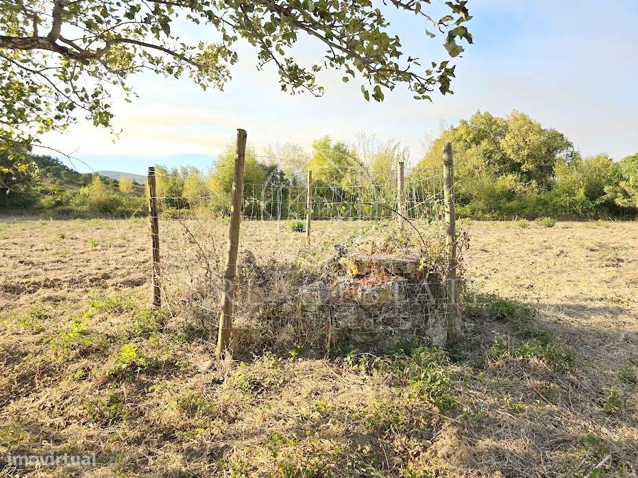 Terreno Misto  Venda em Torres Novas (São Pedro), Lapas e Ribeira Bran-15
