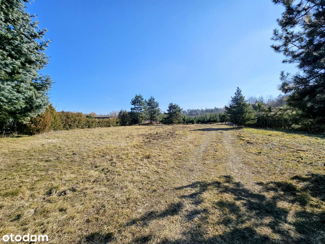 Działka budowlana 8600 m2. MPZP / Mikroklimat / Osuchów / Mszczonów - Pełny obrazek: 4/7