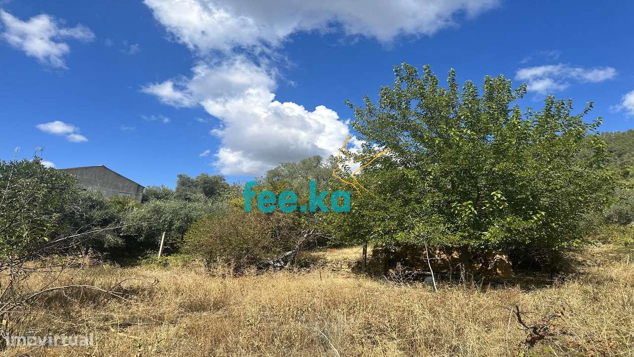 Terreno em Monfortinho - Grande imagem: 4/15