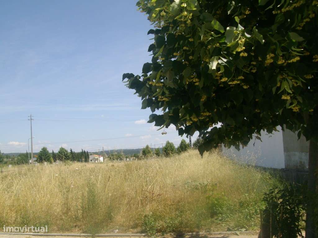 Terreno Urbano Venda Abrantes - Grande imagem: 5/6