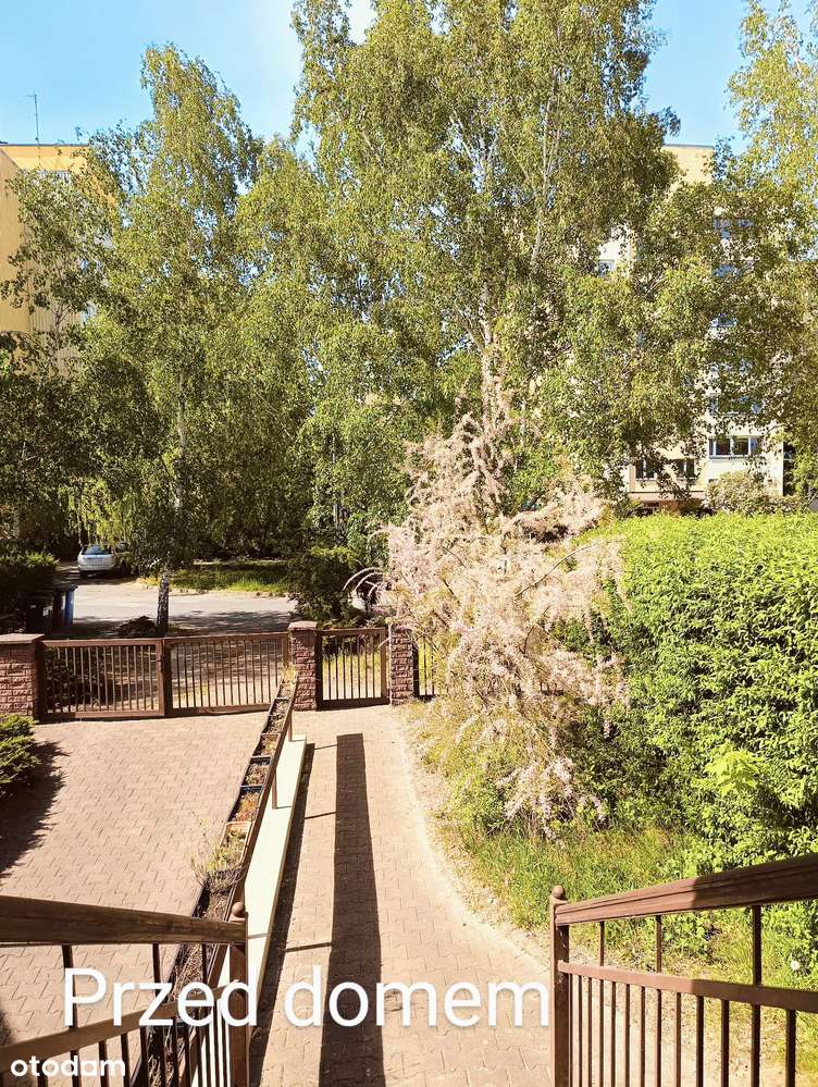 Sprzedaż bezpośrednia od właściciela - Skrajny szereg na Biskupinie - Pełny obrazek: 2/20