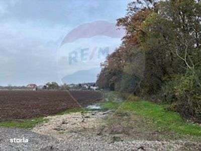 Teren Vladiceasca / Soseaua Vladiceasca 1109 mp Liziera Padurii-3