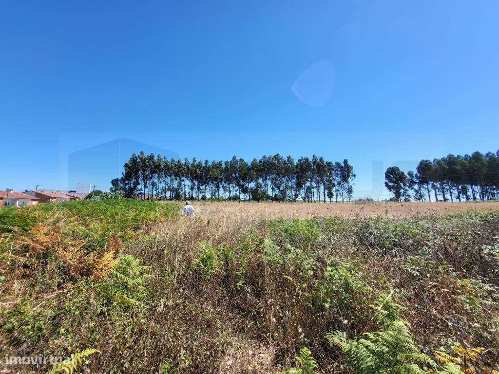 Terreno para moradias a 5 minutos do Glicínias - Grande imagem: 5/5