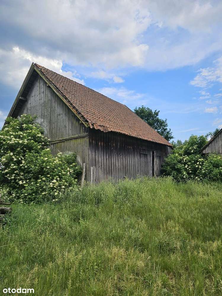 Dom na dużej działce, wraz z zabudowaniami - Pełny obrazek: 5/13