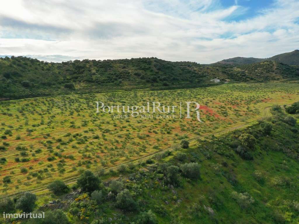 Herdades de Caça com 1300 Hectares, junto do rio Guadiana-45