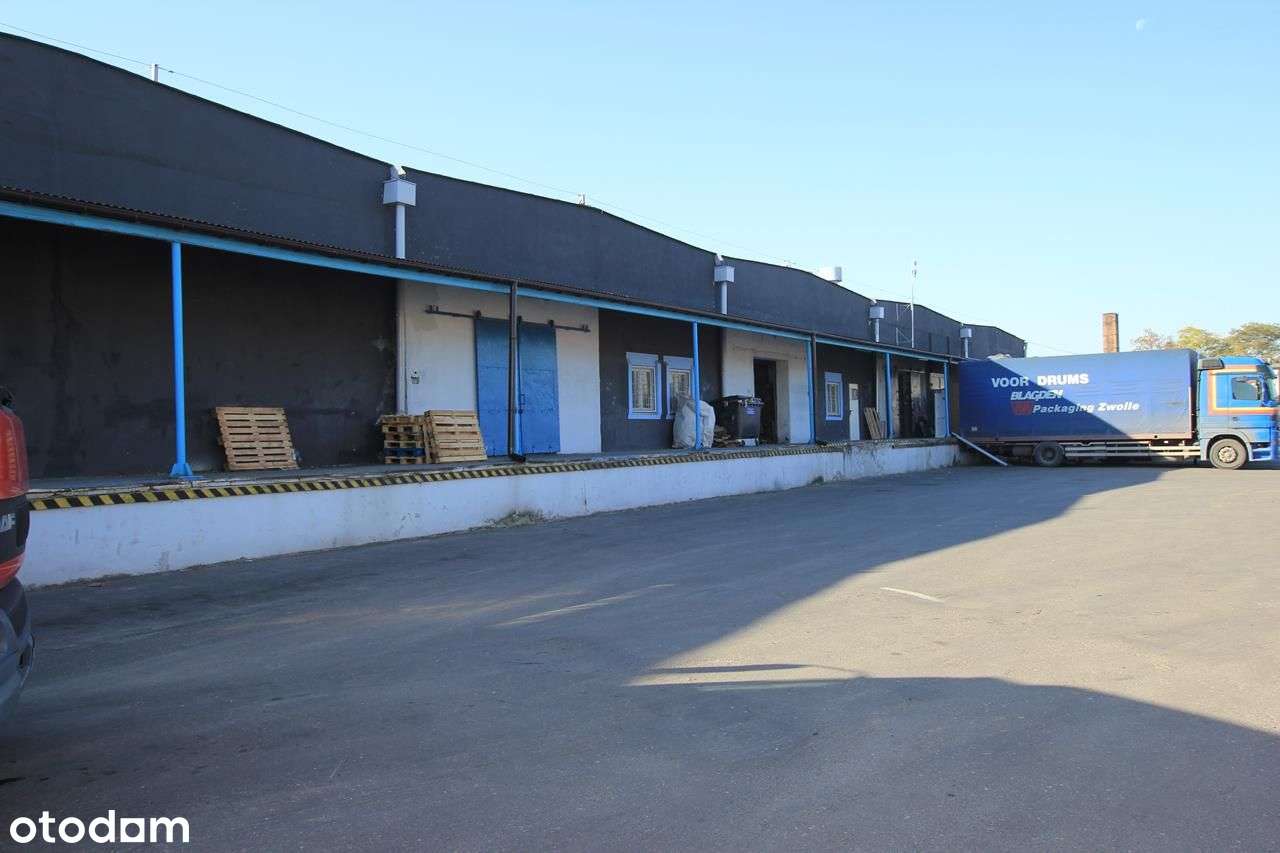 Hala/Magazyn, 849 m², Radom - Pełny obrazek: 4/5