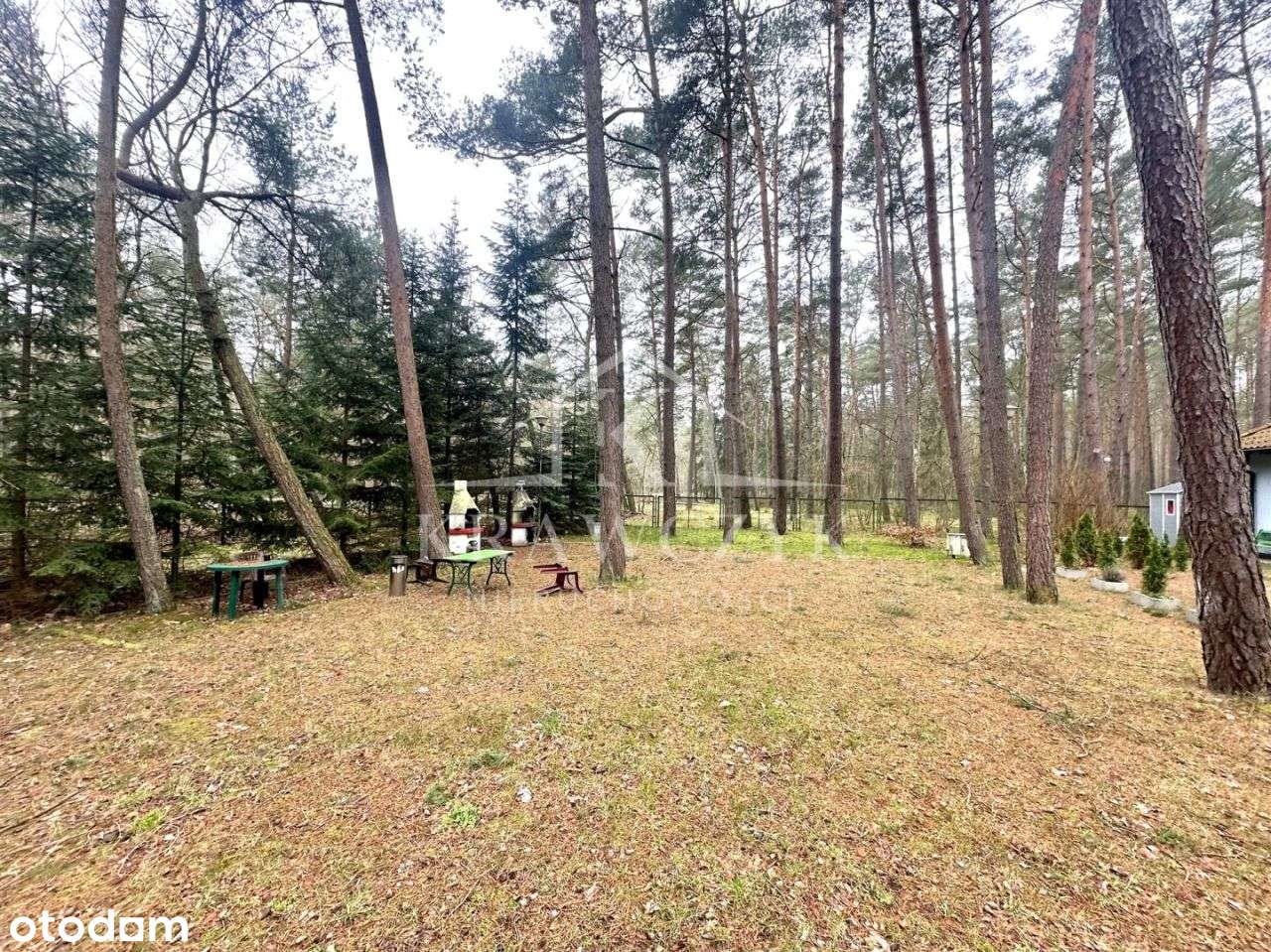 Pobierowo 2pok. 30m2, Ogródek, Miejsce parkingowe - Pełny obrazek: 4/12