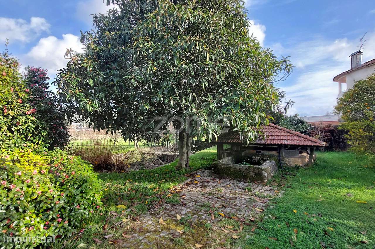 Quinta T4 com Terreno de 1.800 m² em Nogueira do Cravo-14