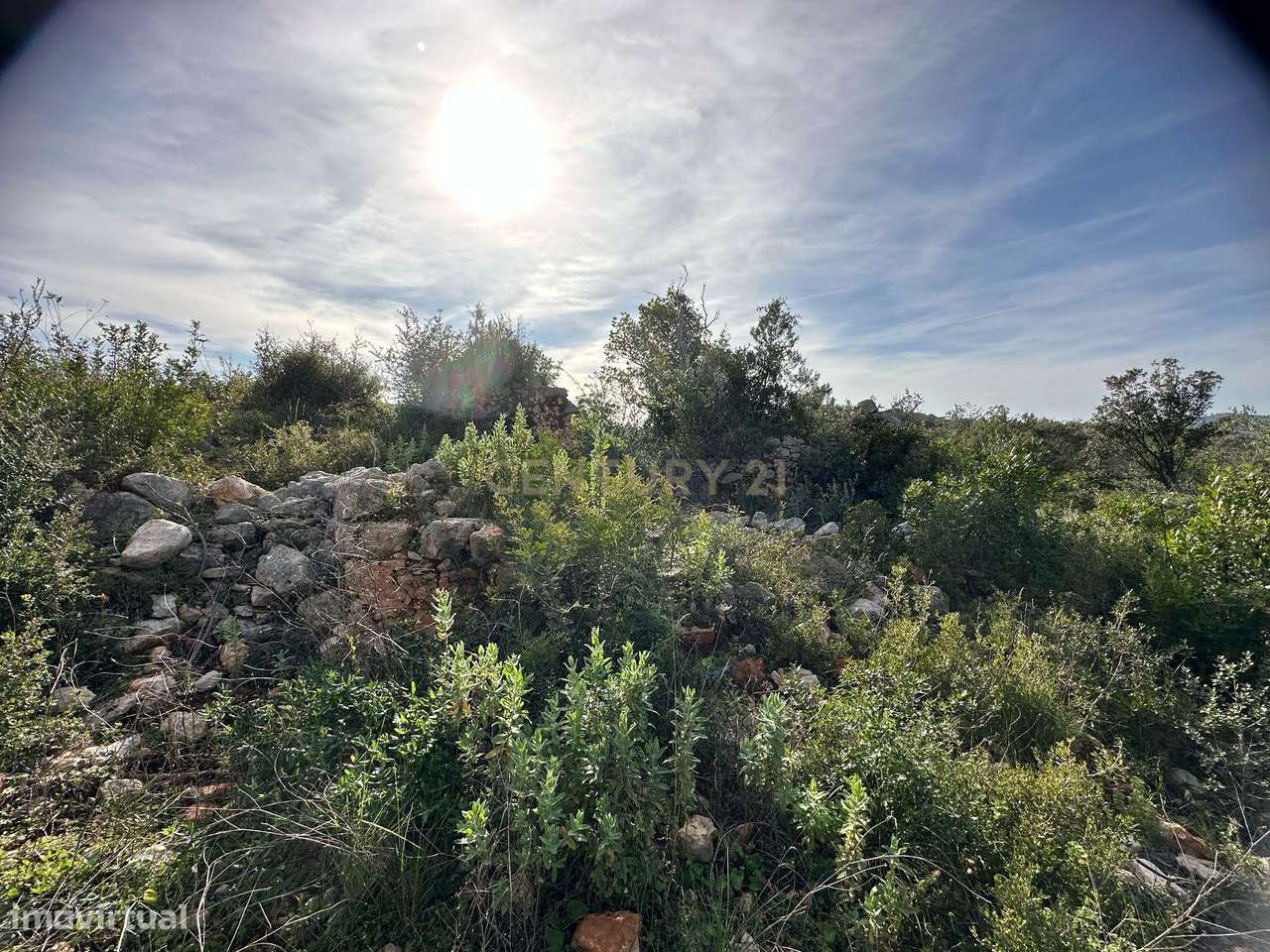 Terreno de 2HA com ruína em Vale da Boa Hora, Parragil (Loulé e Boliqu - Grande imagem: 4/11