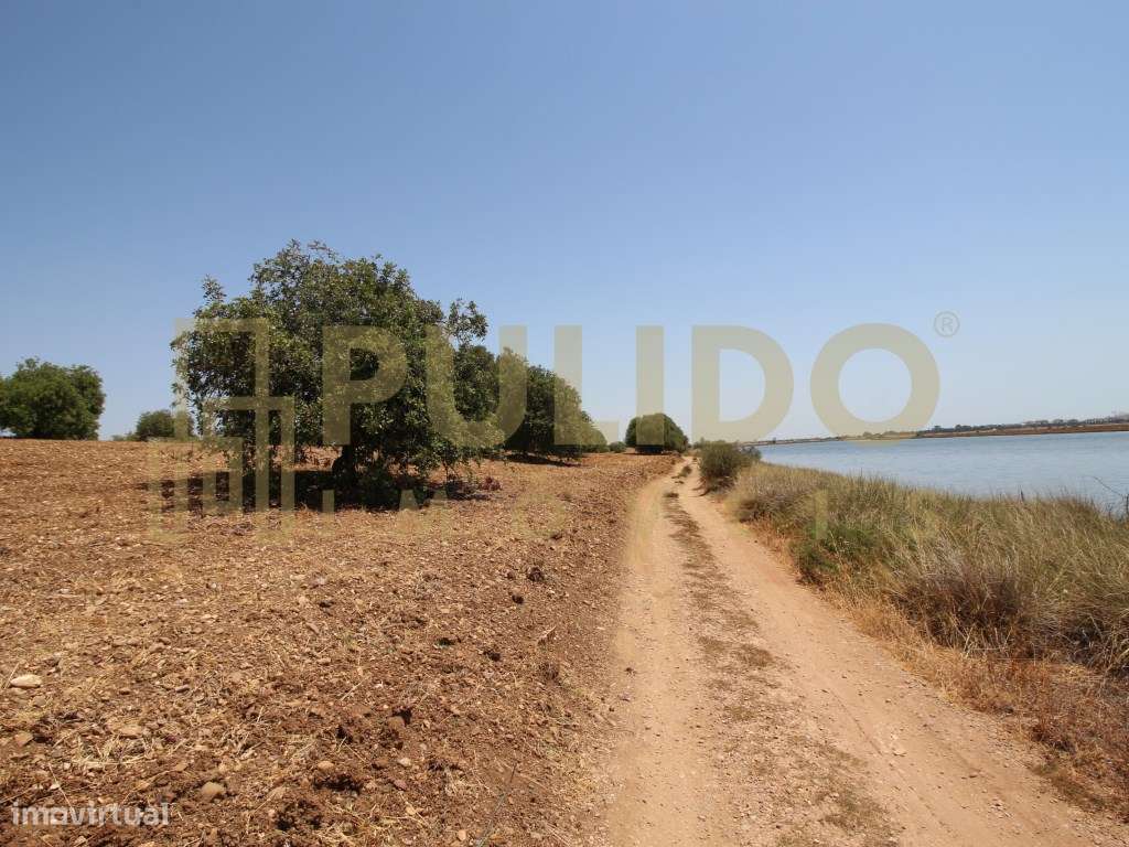 Quinta em Castro Marim a 5km da praia-23