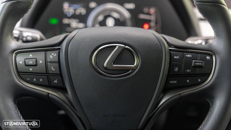 Lexus UX 250h Special Edition (LCA) - 24