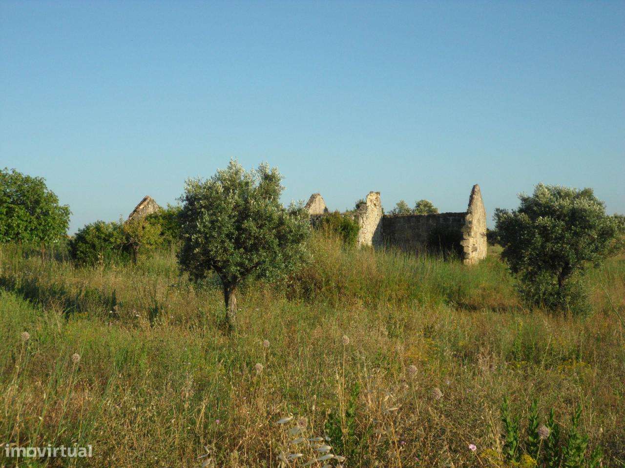 Ruína Inserida em Terreno com 8.320m2 com Poço - Grande imagem: 2/4