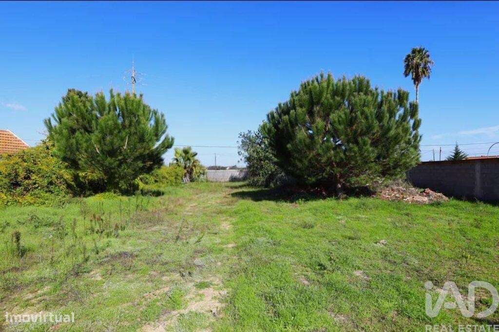 Terreno em Salvaterra de Magos e Foros de Salvaterra de 180,00 m2 - Grande imagem: 4/7