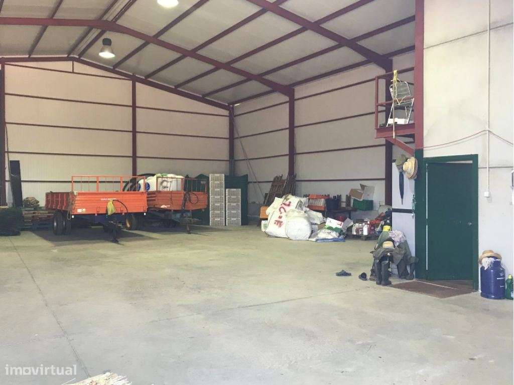 Estremoz Évora herdade 5ha projeto aprovado hotel Rural 4*e nogueir...-17