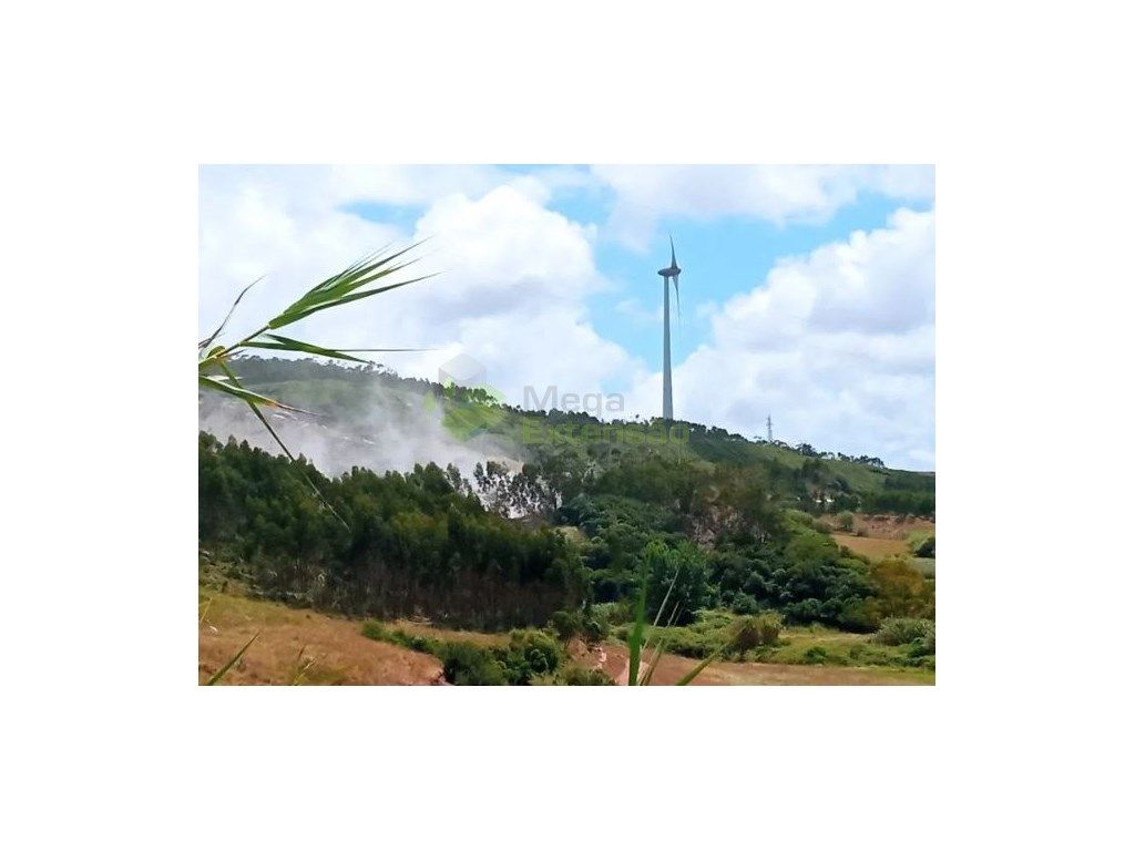 Terreno rústico, com 10080mts, perto de Lourinhã