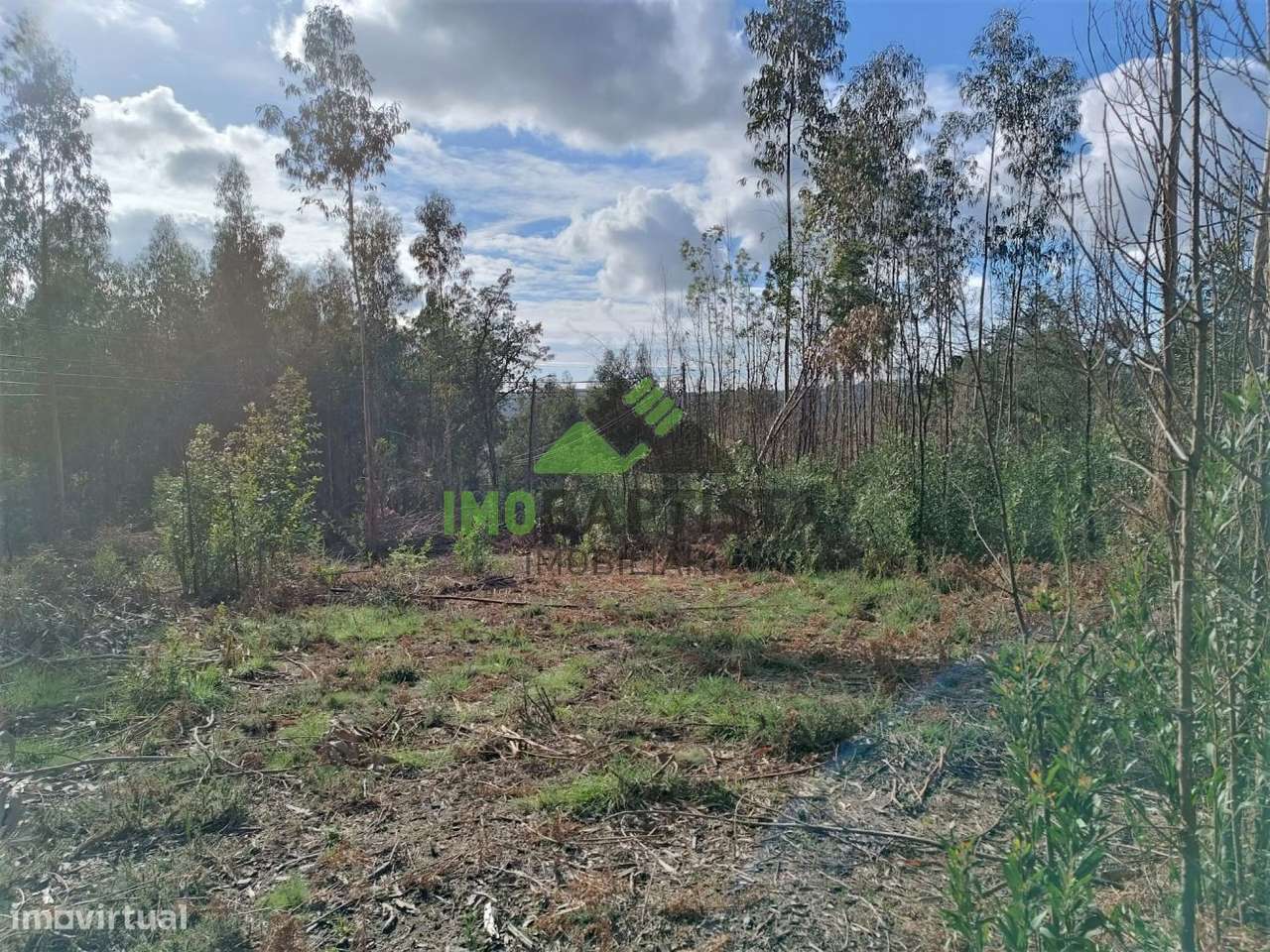 Terreno p/ construção em Guisande (5500 m2)-10