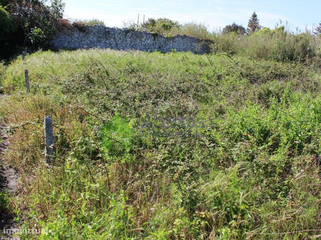 ÓPTIMO INVESTIMENTO CENTRO CIDADE - Grande imagem: 4/8