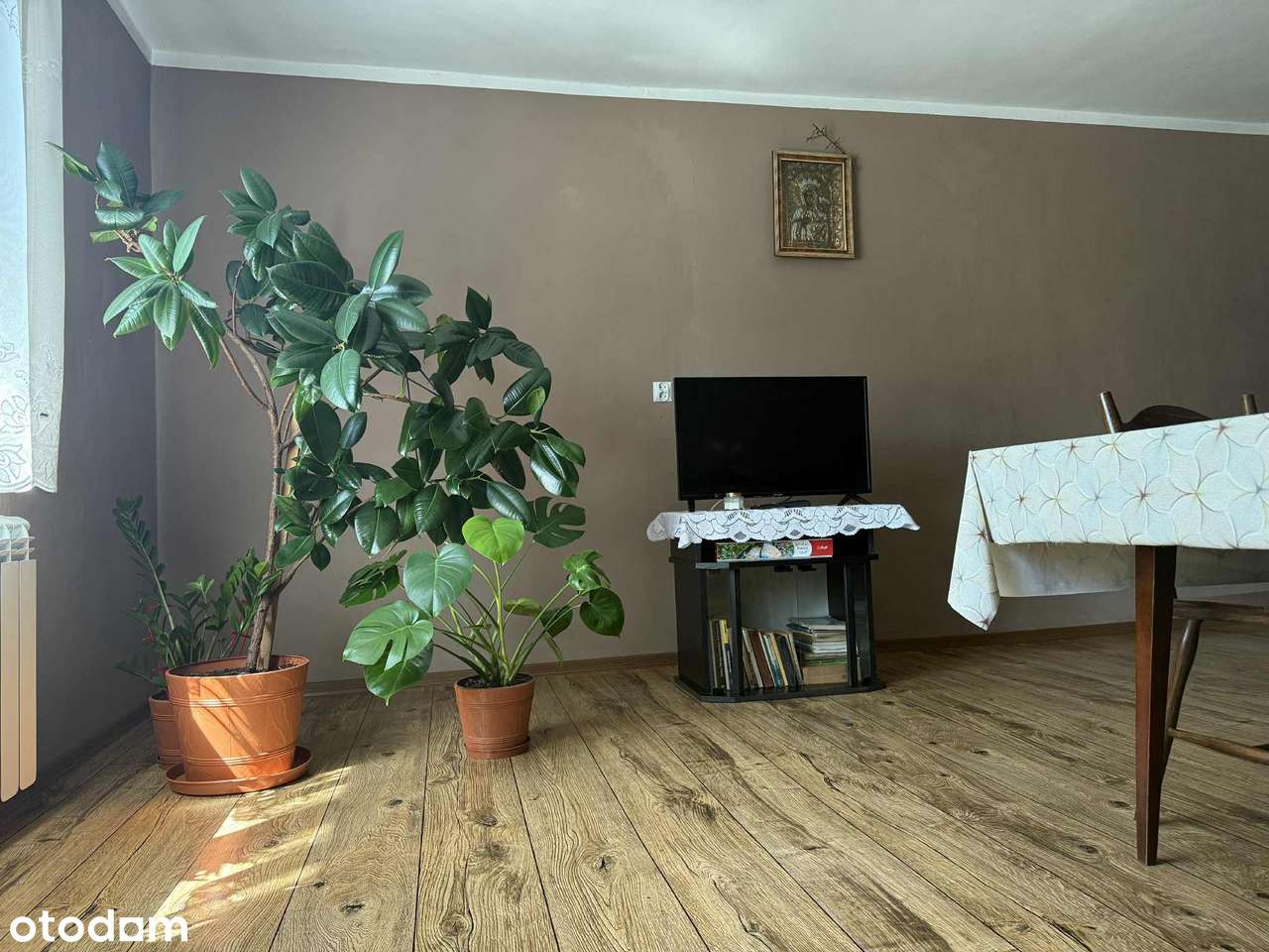 Siedlisko w mazowieckiej wsi-8